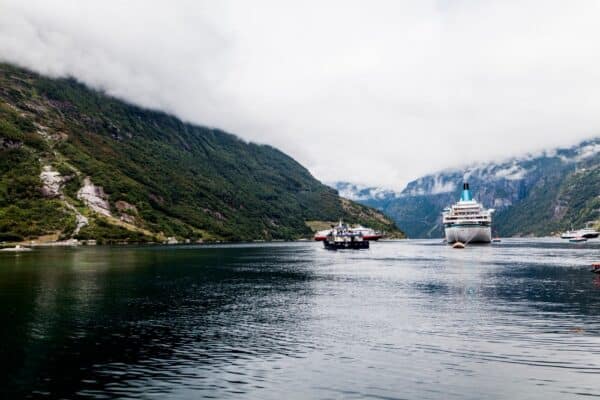 Premium Milford Sound Day Tour & Cruise from Queenstown - Image 2