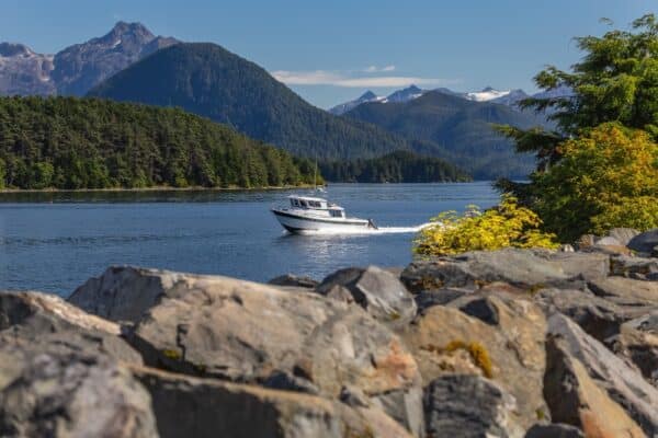 Premium Milford Sound Day Tour & Cruise from Queenstown