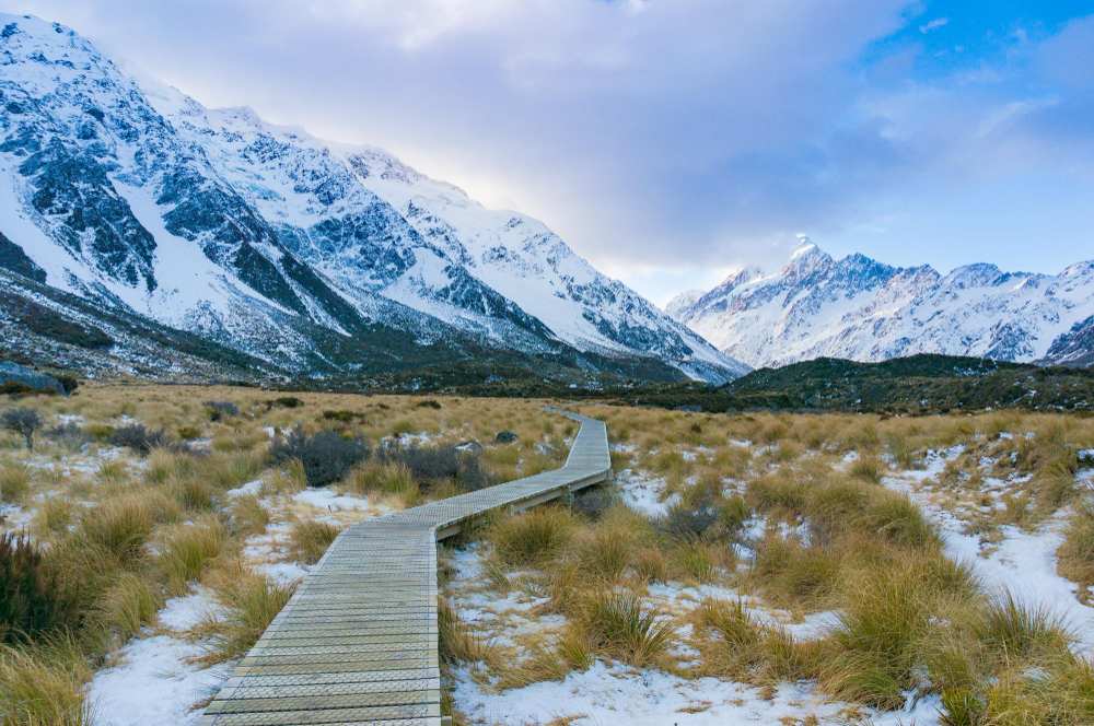 North vs. South Island Which One is Better for Your Travel Plans